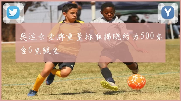 奥运会金牌重量标准揭晓约为500克含6克镀金