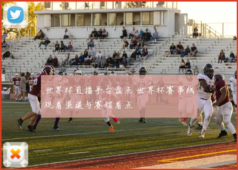 世界杯直播平台盘点 世界杯赛事线观看渠道与赛程看点