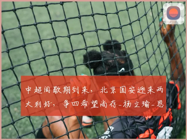 中超间歇期到来，北京国安迎来两大利好，争四希望尚存_杨立瑜_恩科_进攻
