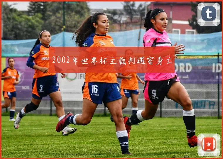 2002年世界杯主裁判遇害身亡